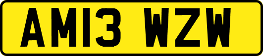 AM13WZW