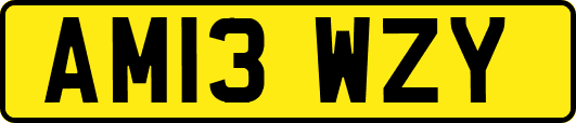 AM13WZY