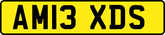 AM13XDS