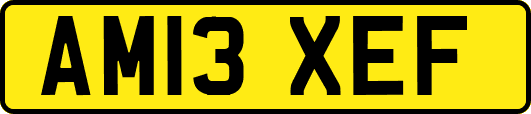 AM13XEF