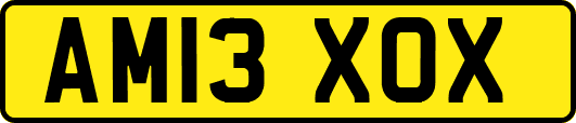 AM13XOX