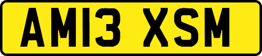 AM13XSM