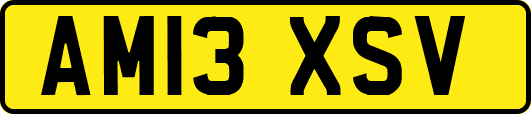 AM13XSV
