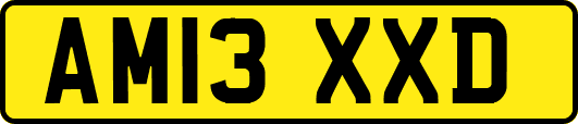 AM13XXD