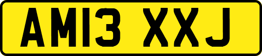 AM13XXJ