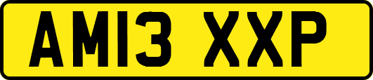 AM13XXP
