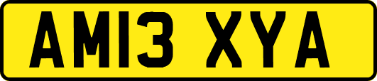 AM13XYA