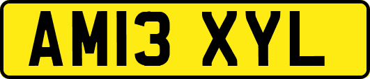 AM13XYL
