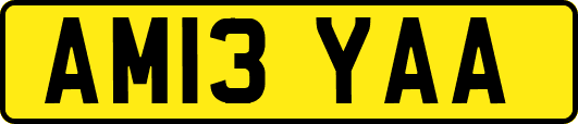 AM13YAA