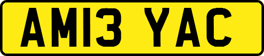 AM13YAC