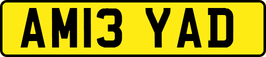 AM13YAD