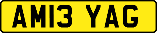 AM13YAG