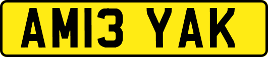 AM13YAK