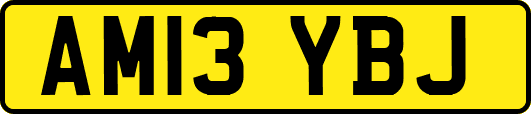 AM13YBJ