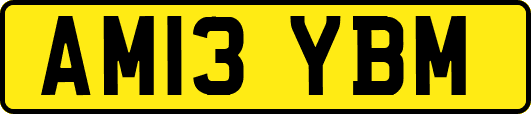 AM13YBM