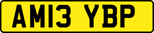 AM13YBP