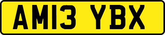AM13YBX