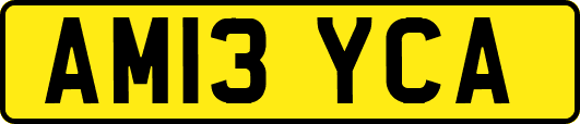 AM13YCA