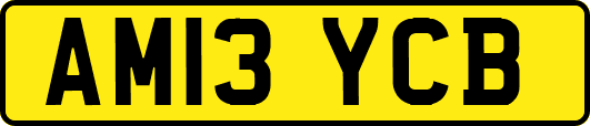 AM13YCB