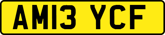 AM13YCF