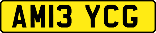 AM13YCG