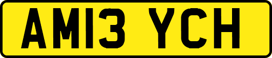AM13YCH