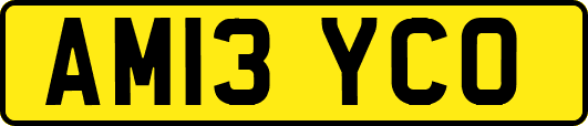 AM13YCO