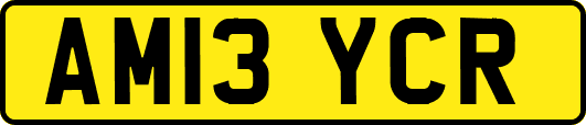 AM13YCR