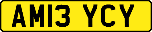 AM13YCY