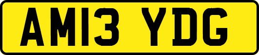 AM13YDG