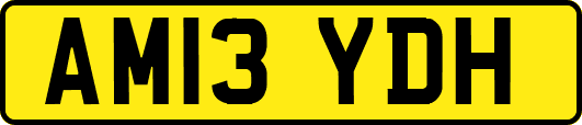 AM13YDH