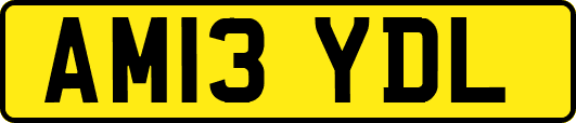 AM13YDL