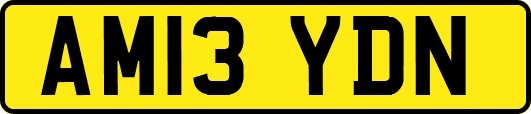 AM13YDN