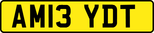AM13YDT