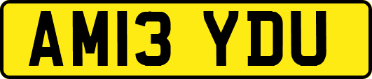 AM13YDU