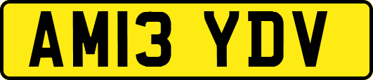 AM13YDV