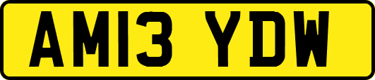 AM13YDW