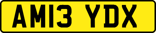 AM13YDX