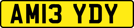 AM13YDY