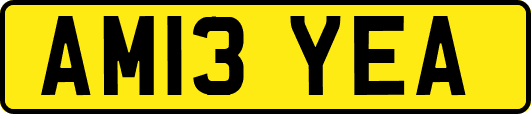 AM13YEA