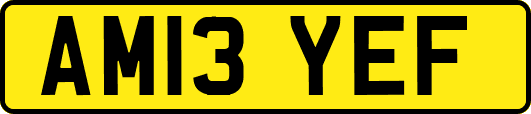 AM13YEF