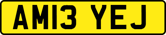 AM13YEJ
