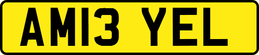 AM13YEL