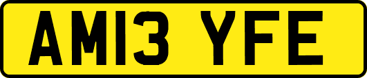 AM13YFE