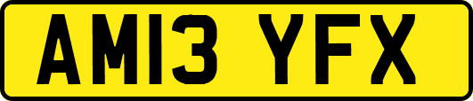 AM13YFX