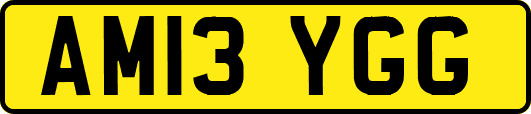 AM13YGG