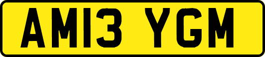 AM13YGM
