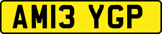 AM13YGP