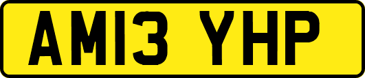AM13YHP