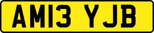 AM13YJB